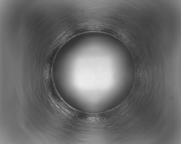 X0000080800744200701021249