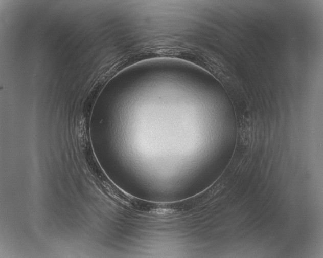 X0000080800748200701021249