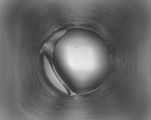 X0000080800750200701021249