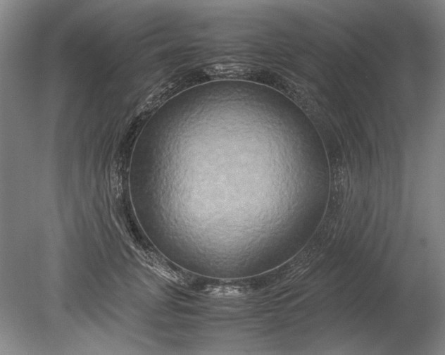 X0000080800751200701021249