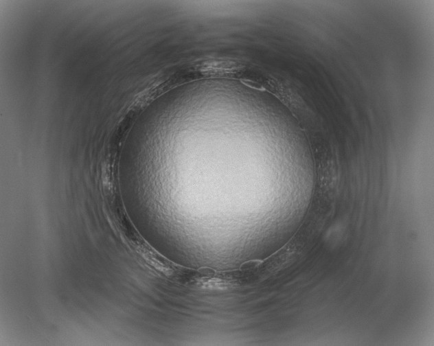 X0000080800755200701021249