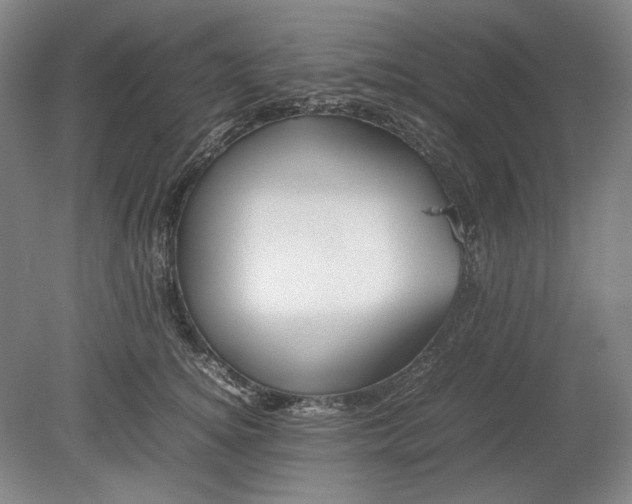 X0000080800756200701021249