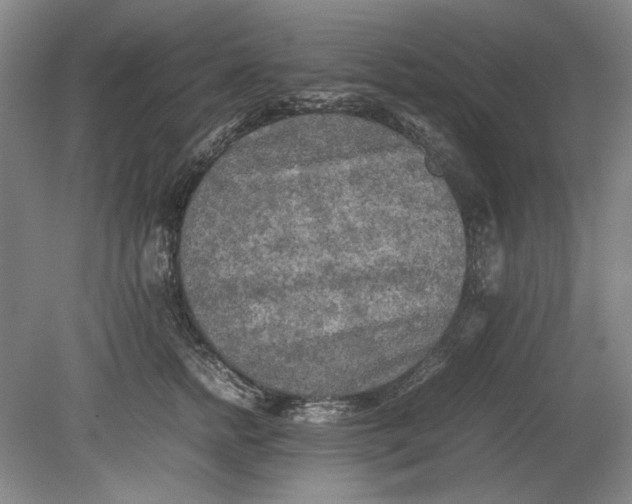 X0000080800758200701021249