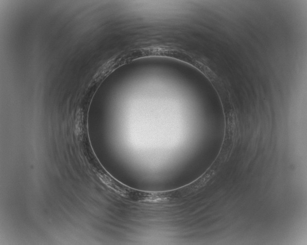 X0000080800760200701021250