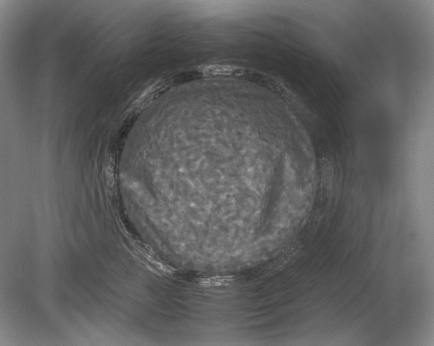 X0000080800761200701021250