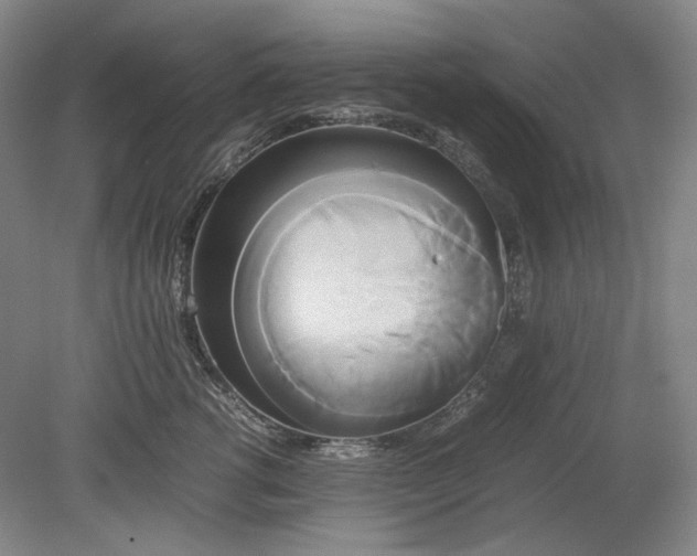 X0000080800762200701021250