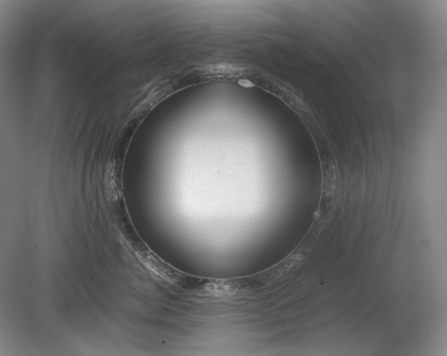 X0000080800764200701021250
