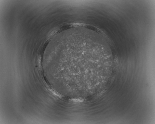 X0000080800765200701021250