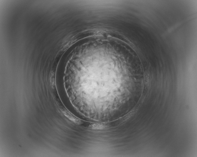 X0000080800766200701021250