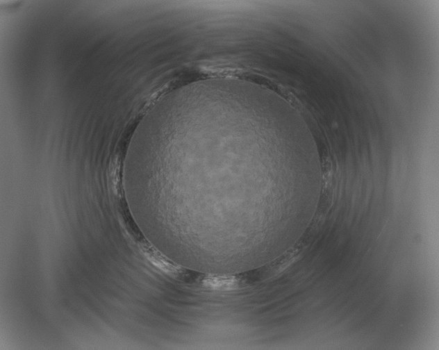 X0000080800767200701021250