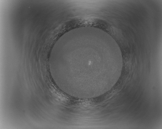 X0000080800769200701021249