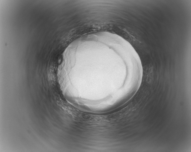 X0000080800770200701021249