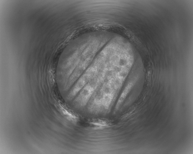 X0000080800772200701021249