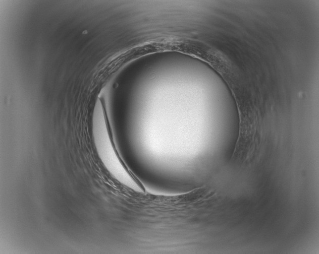 X0000080800773200701021249