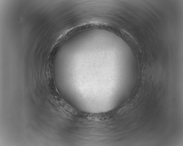 X0000080800776200701021249