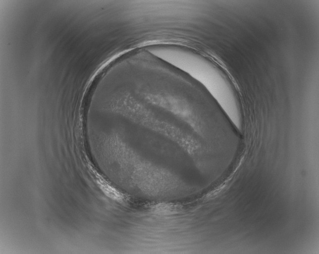 X0000080800779200701021249