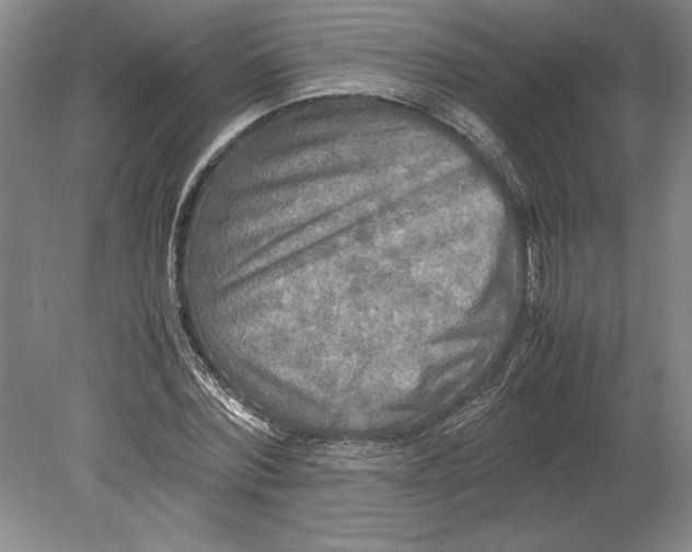 X0000080800780200701021249