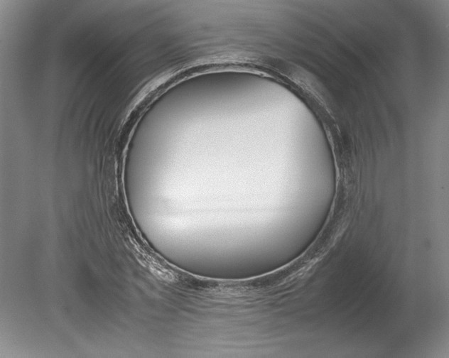 X0000080800781200701021249