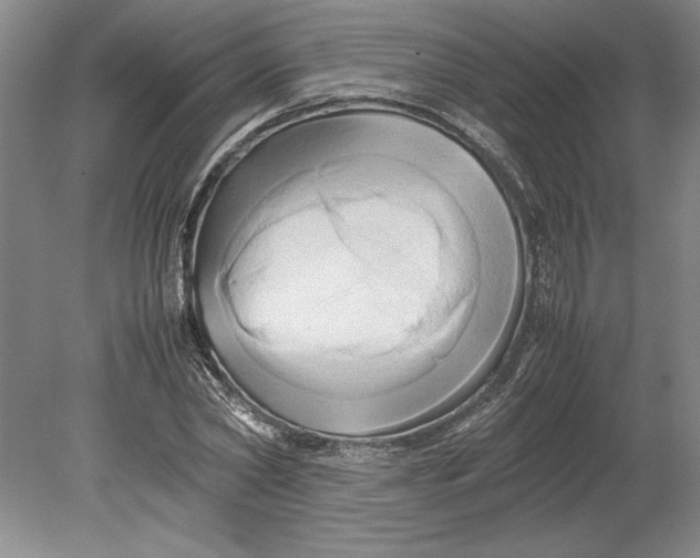 X0000080800782200701021249