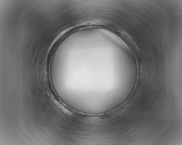 X0000080800784200701021249