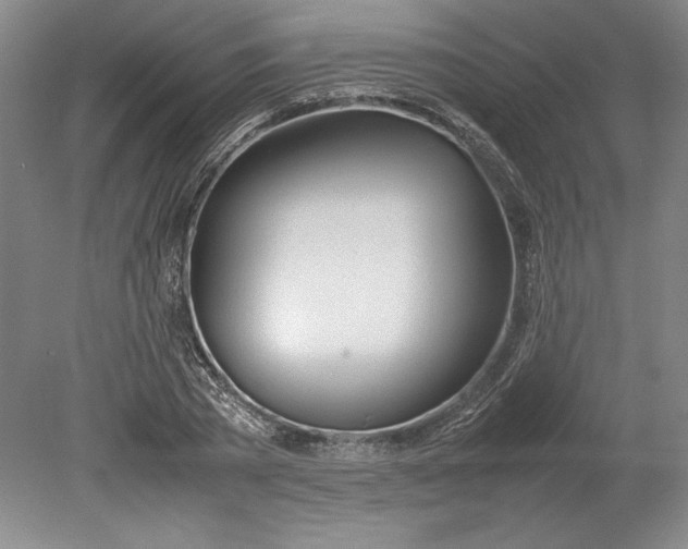 X0000080800785200701021249