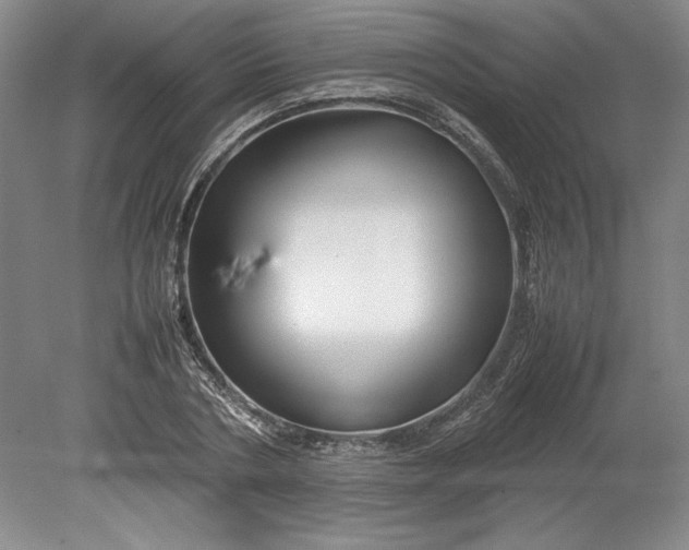 X0000080800786200701021249
