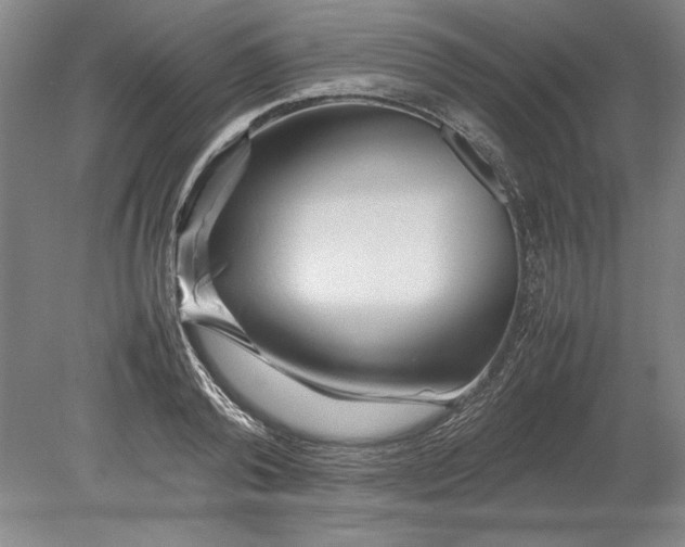 X0000080800792200701021248