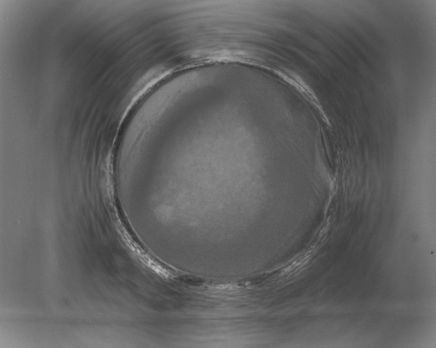 X0000080800798200701021248