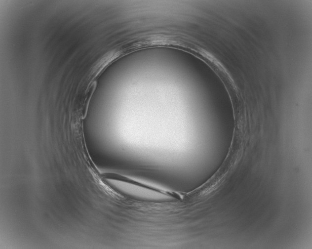 X0000080800801200701021248