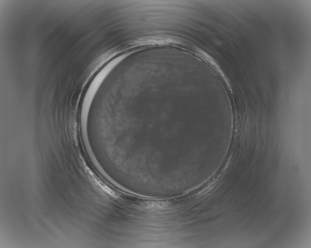 X0000080800802200701021248