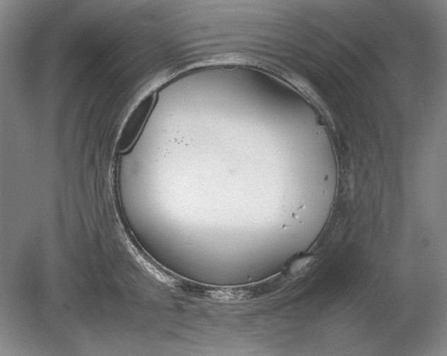 X0000080800805200701021248