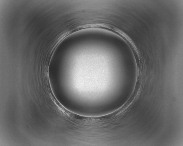 X0000080800809200701021248