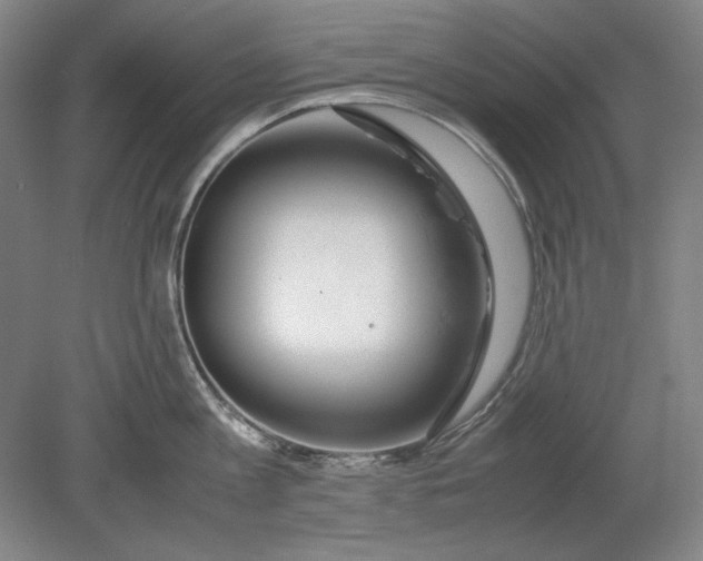 X0000080800813200701021248