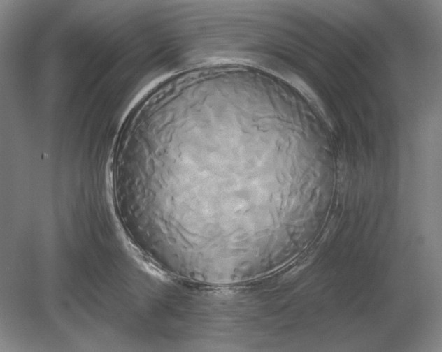 X0000080800814200701021248