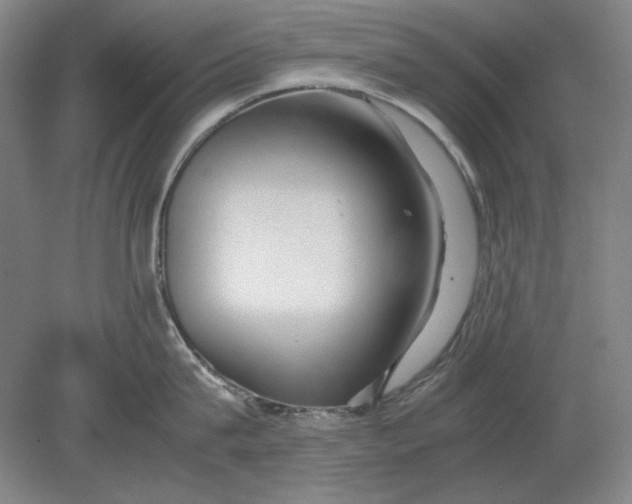 X0000080800815200701021248