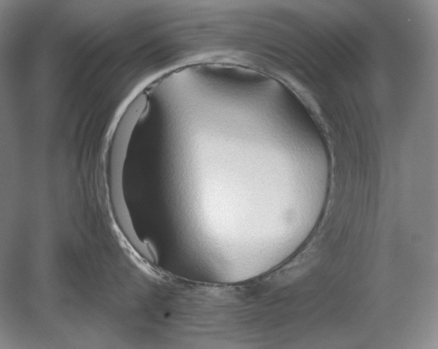 X0000080800816200701021248