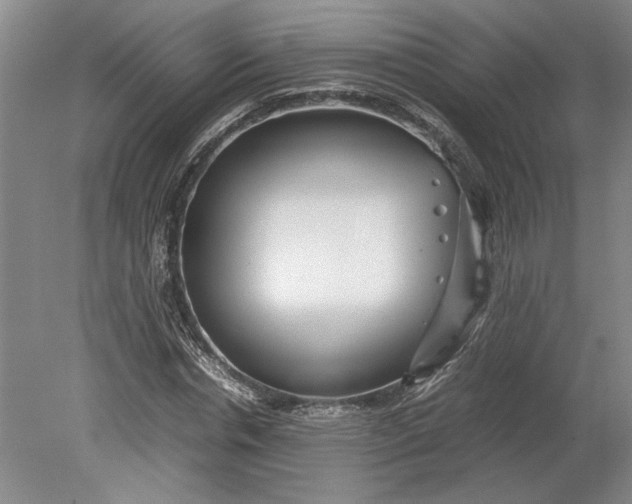 X0000080800826200701021247