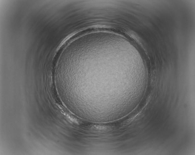 X0000080800829200701021247