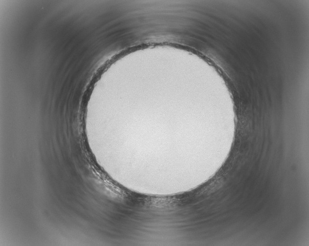 X0000080800832200701021247
