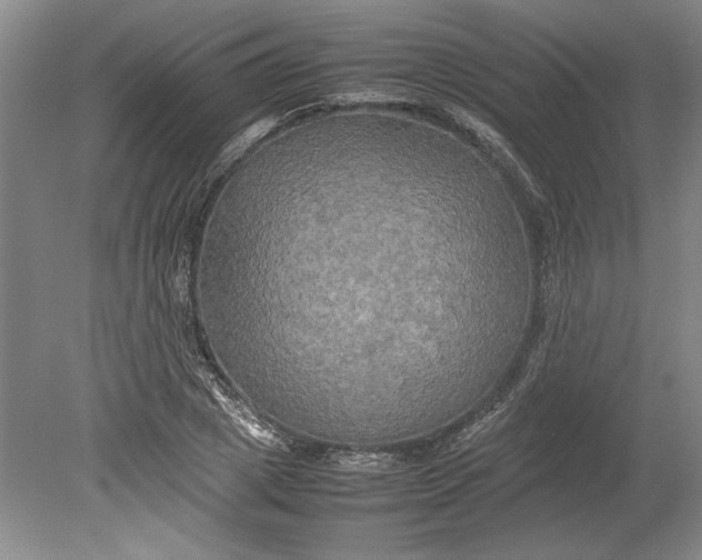 X0000080800833200701021248