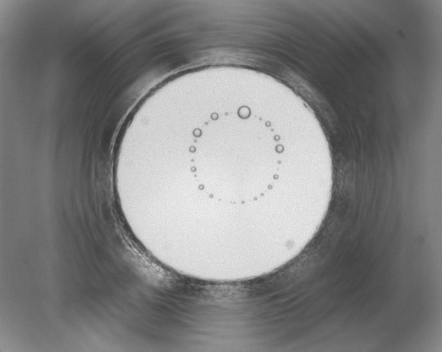 X0000080800836200701021248