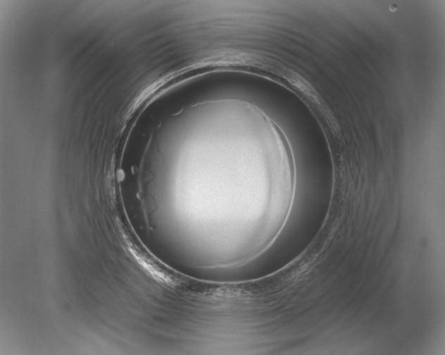 X0000080800842200701021248