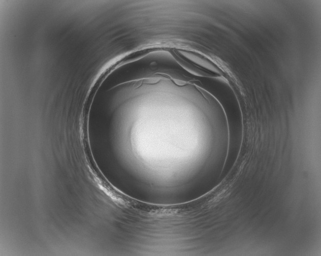 X0000080800846200701021248