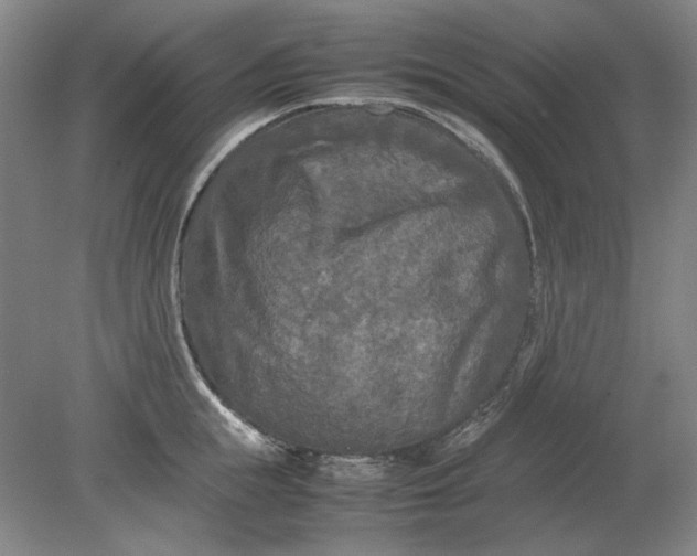 X0000080800855200701021248