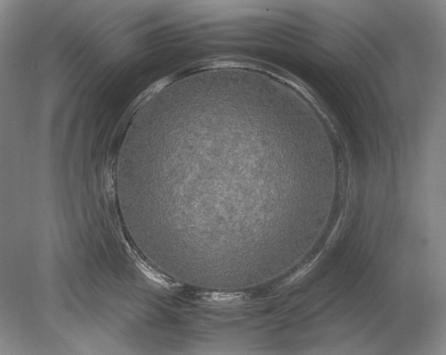 X0000080800857200701021248