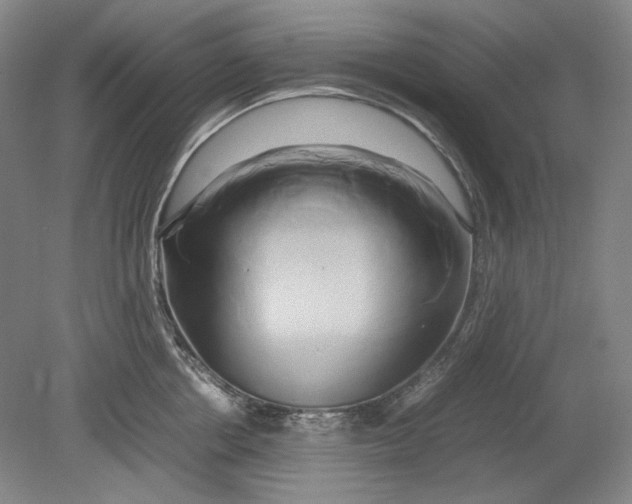 X0000080800858200701021248