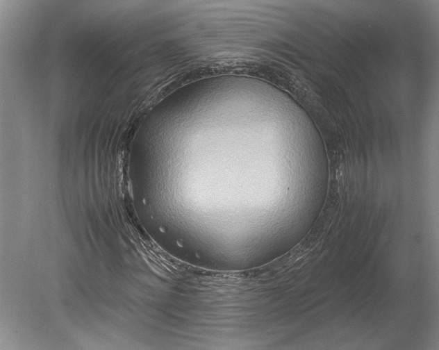 X0000080800868200701021247