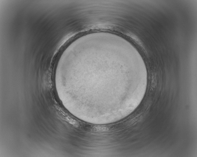 X0000080800878200701021247