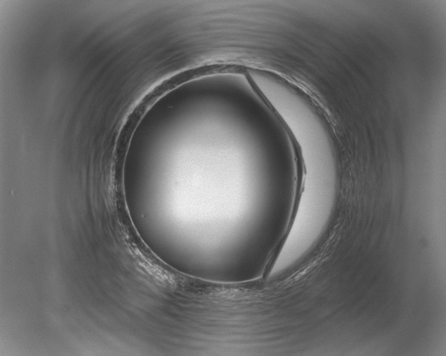 X0000080800880200701021247