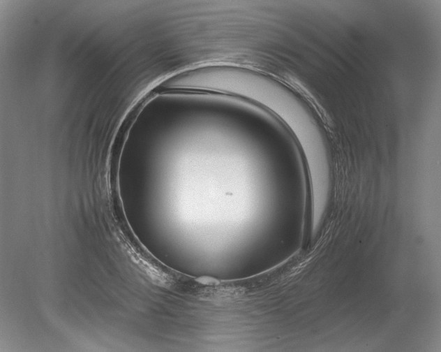X0000080800884200701021247